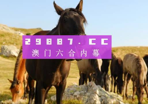 澳门管家婆一肖一码一中一|线的释义解释与落实