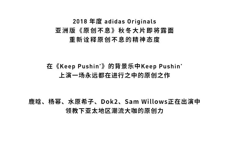 探索未来教育之路，关于新奥精选免费资料与主动释义解释落实的深度解读