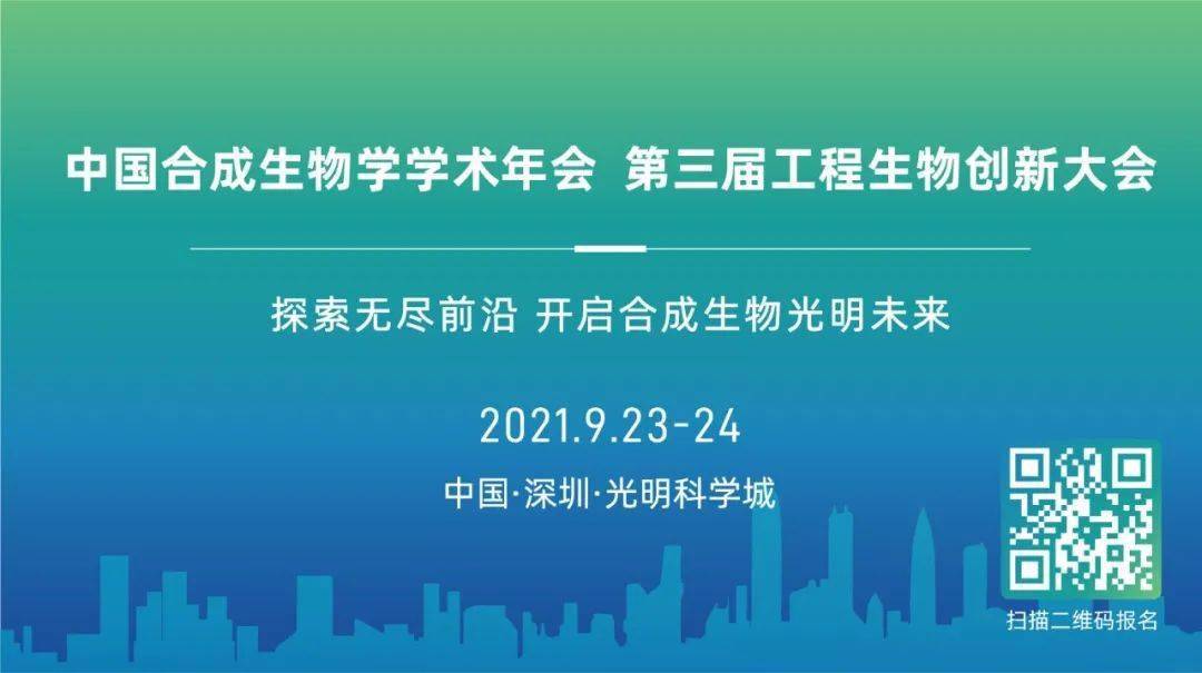 探索未来之路，从全景释义到落实行动——关于2025资料正版大全的全面解读