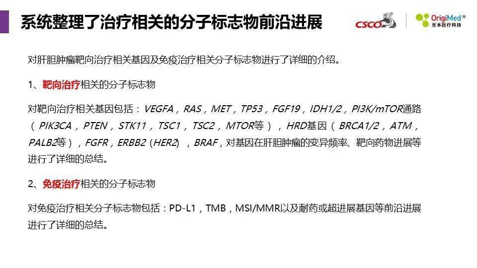 探索澳门精准资讯的世界——能耐释义与落实行动