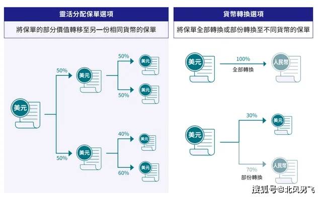 揭秘2025香港开奖记录，了解、释义、解释与落实