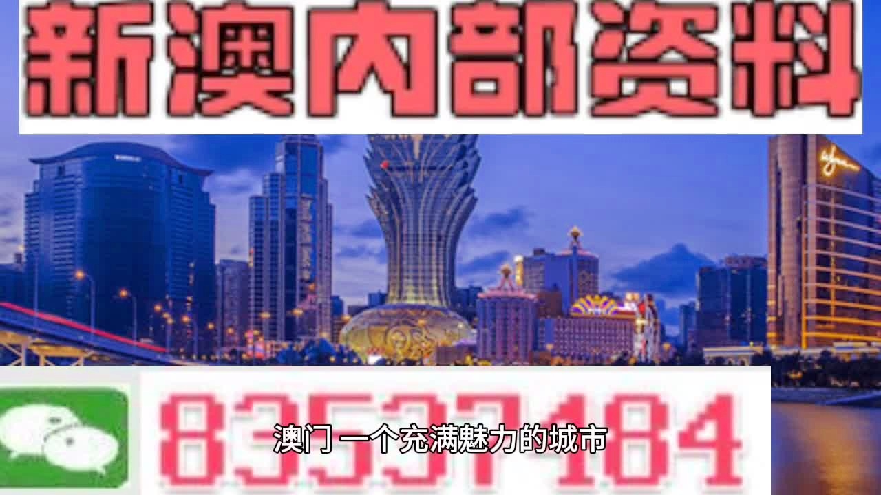 澳门335期资料查看，重磅释义与深入落实的探讨