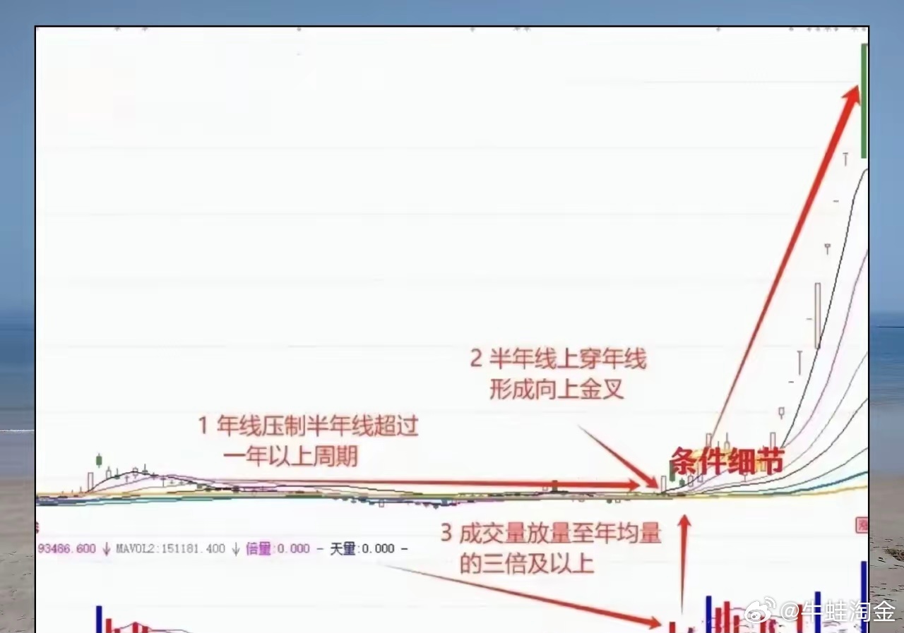 时间诠释下的管家婆一肖中特，预测与落实的交汇