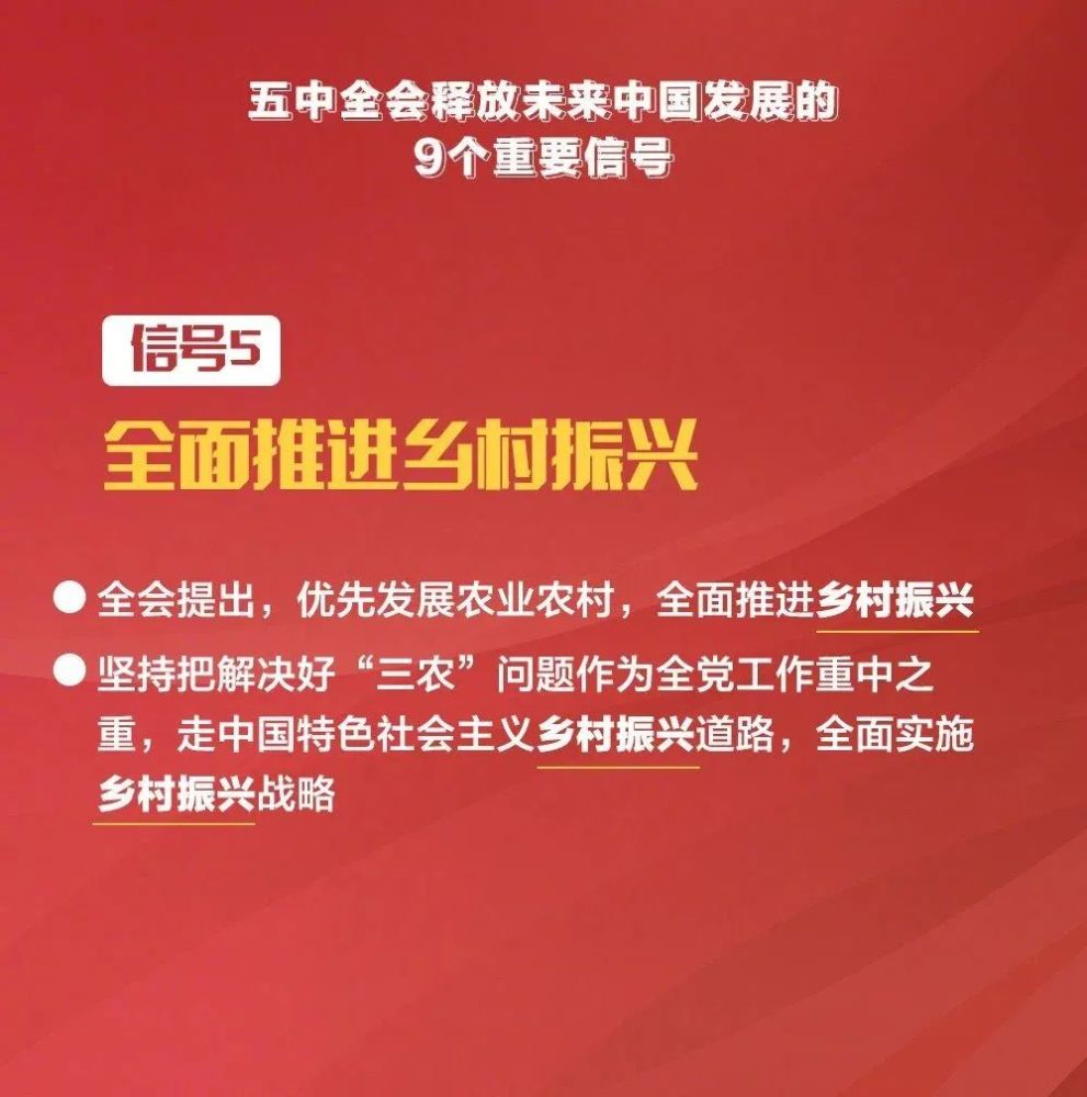 探索未来，2025新奥正版资料的免费共享与域解释义的落实之路