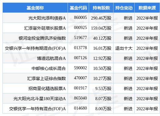 新澳最准的免费资料与股东释义解释落实