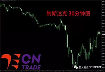 新澳资料大全正版2025金算盘，温释义解释与落实战略