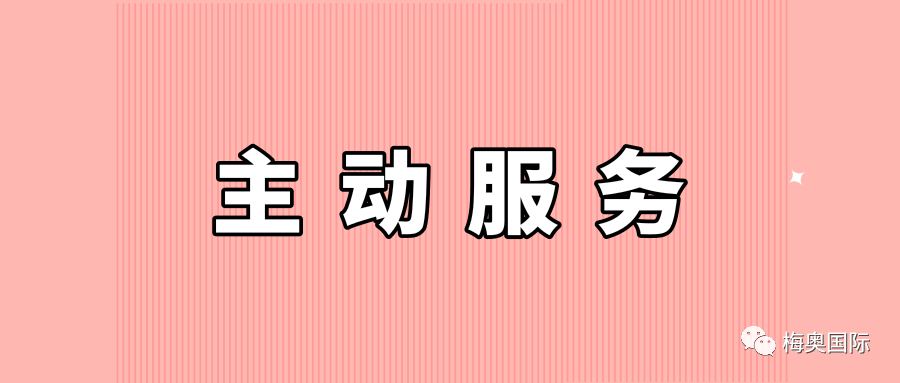 王中王资料大全及其相关解析，功倍释义与落实的重要性