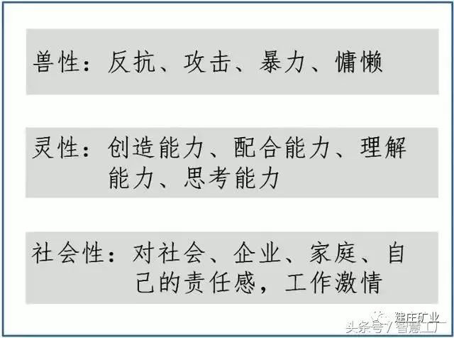 澳门今晚开特马技能释义解释落实，探索与启示