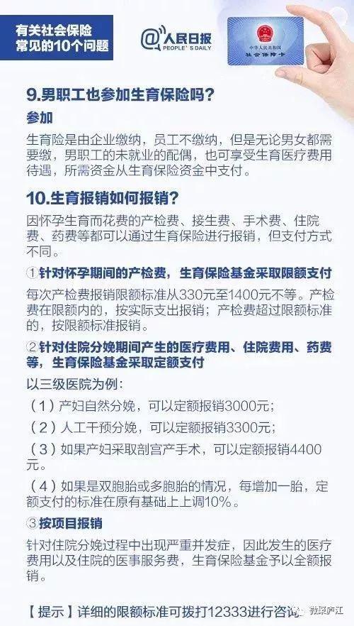 关于权益释义解释落实的文章，探索新跑狗图的未来与权益解读