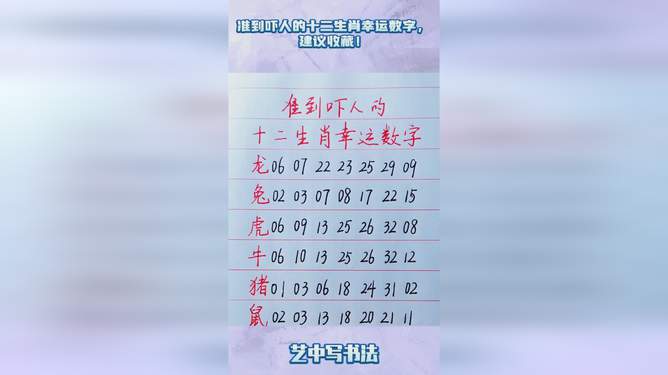 揭秘十二生肖与数字49的神奇关联，损益释义及实践应用