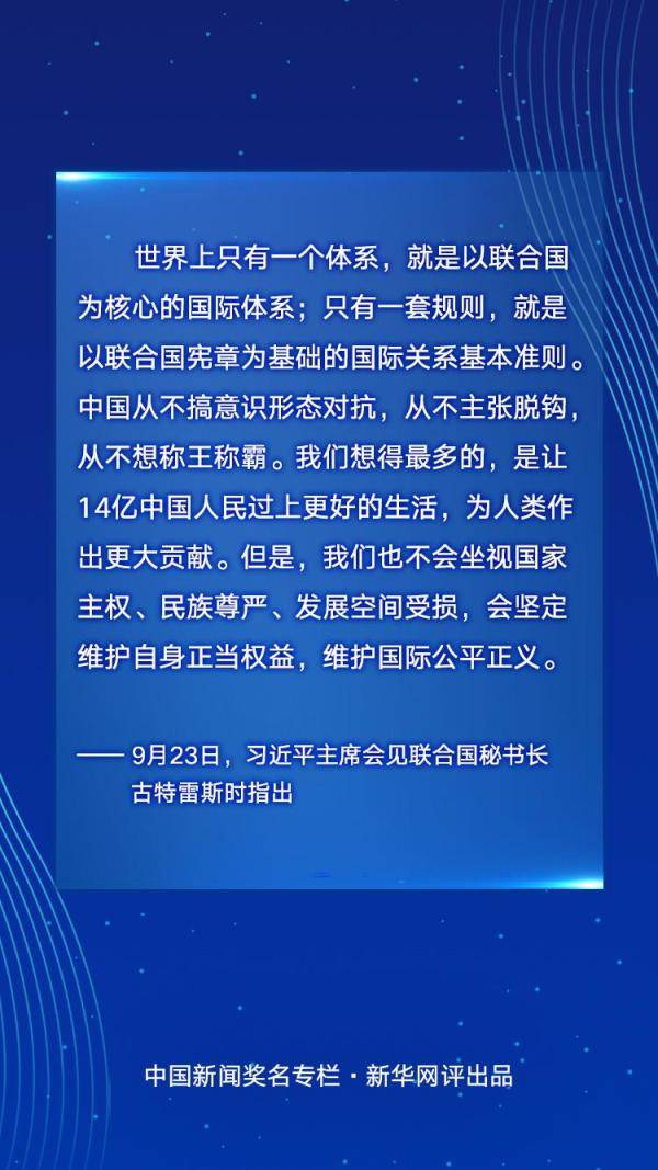 澳门一码一肖一待一中四不像与群力释义解释落实的探讨