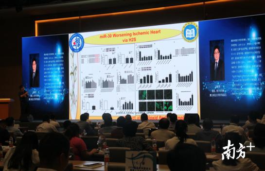 澳门今晚必开一肖——深度解析与释义解释落实