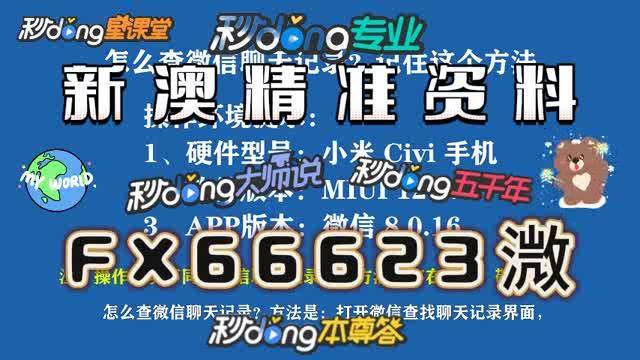 澳门一码中精准一码资料一码中，商业释义解释与落实策略探讨