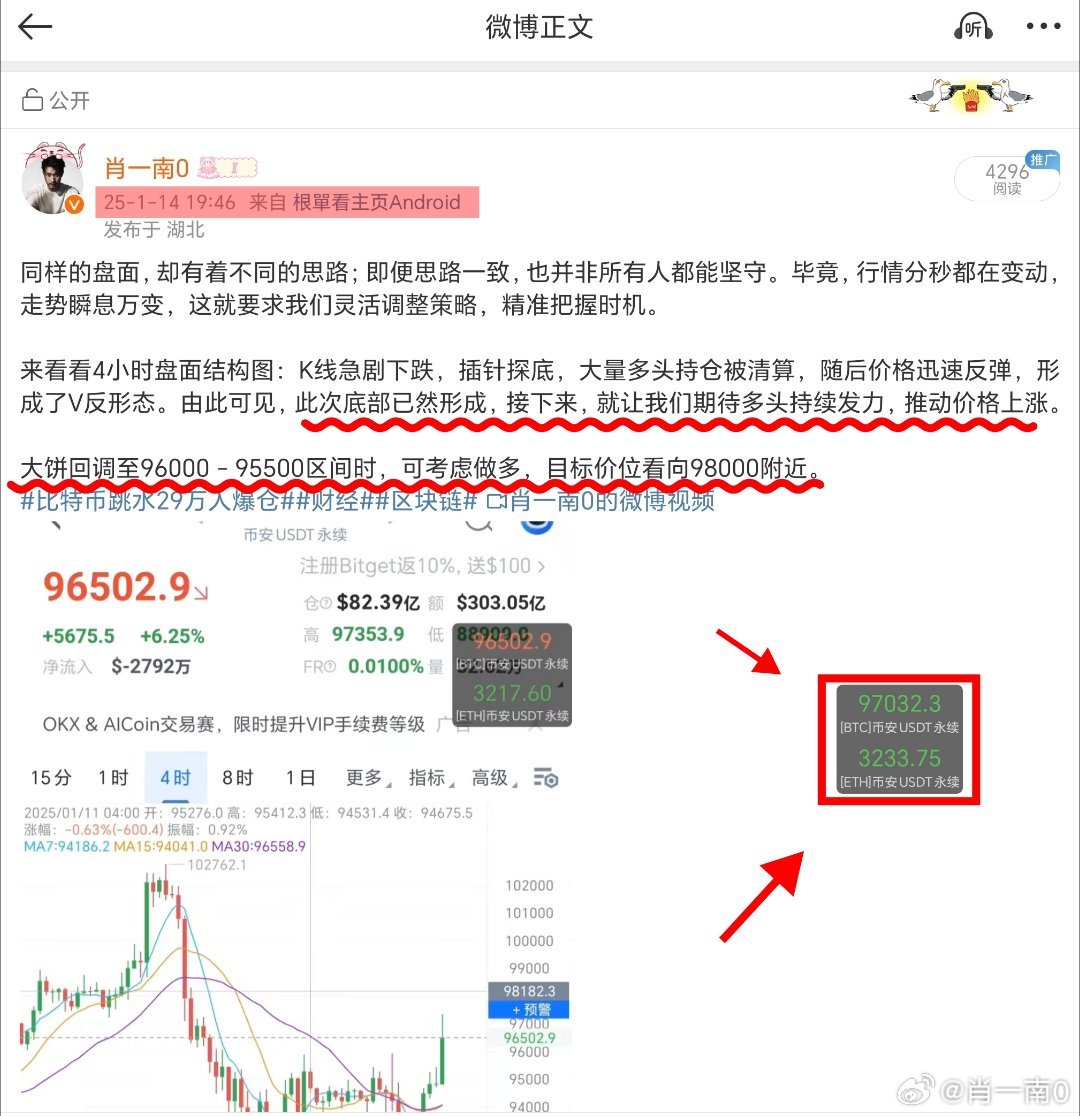 精准一肖一码，揭秘预测之谜与落实事无巨细的解释