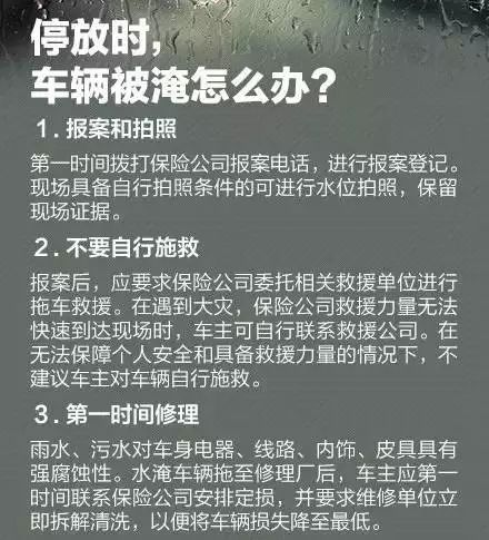 今晚澳门特马开什么，四不像的解读与释义的落实