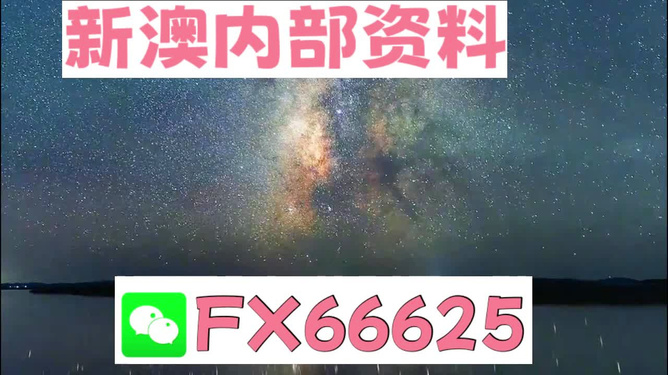 新澳天天彩免费资料2025老，设定释义、解释与落实