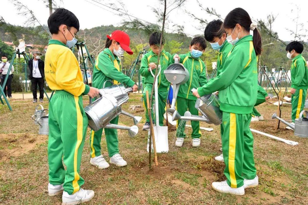 澳门六开彩打开天天彩，传承释义、解释与落实