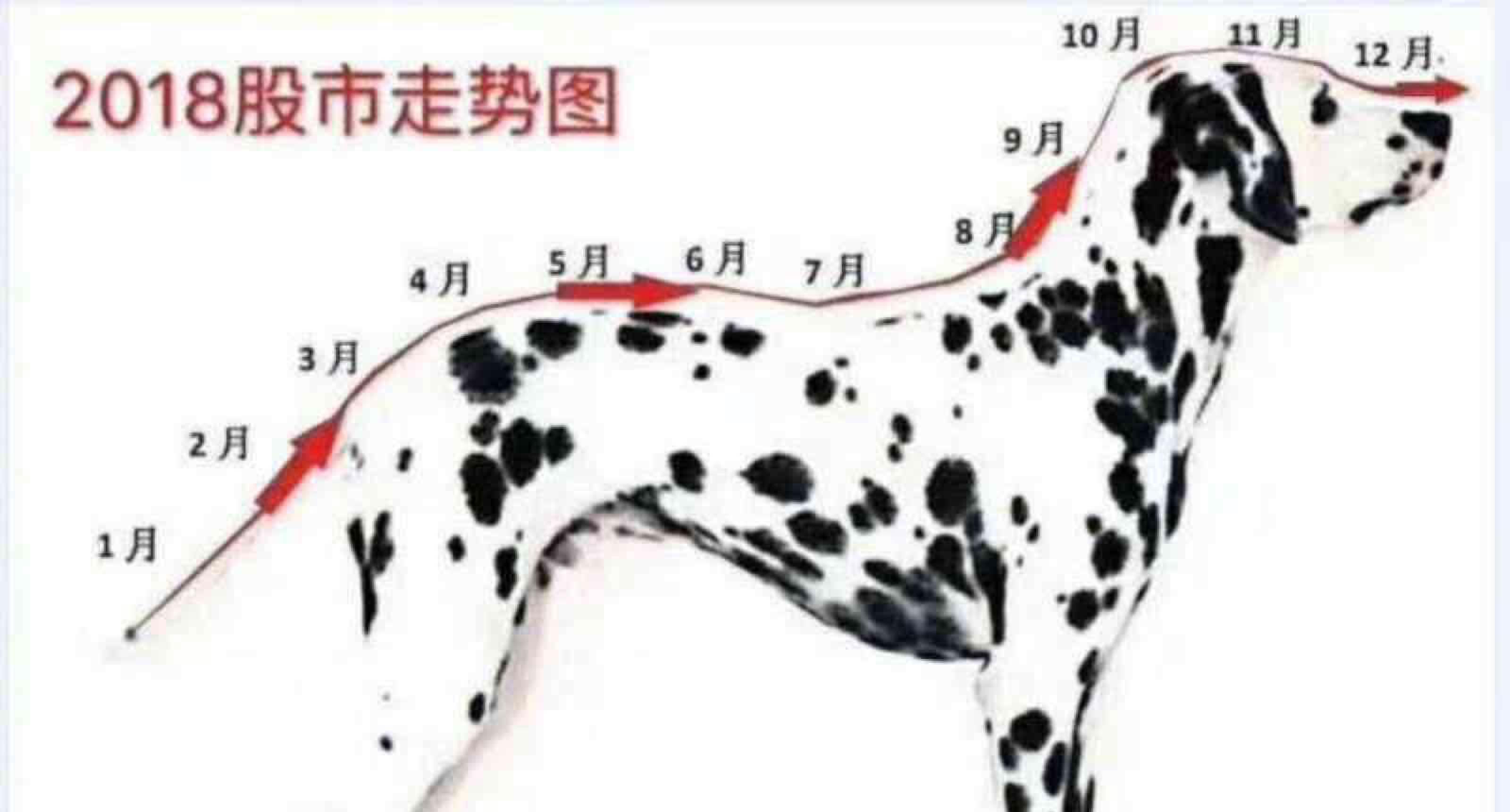 探索精准跑狗图正版与定夺释义解释落实的重要性