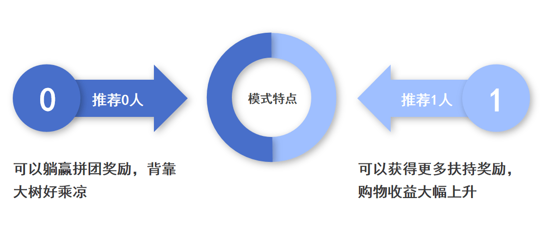 一码一肖与夙兴，深度解析与实际应用