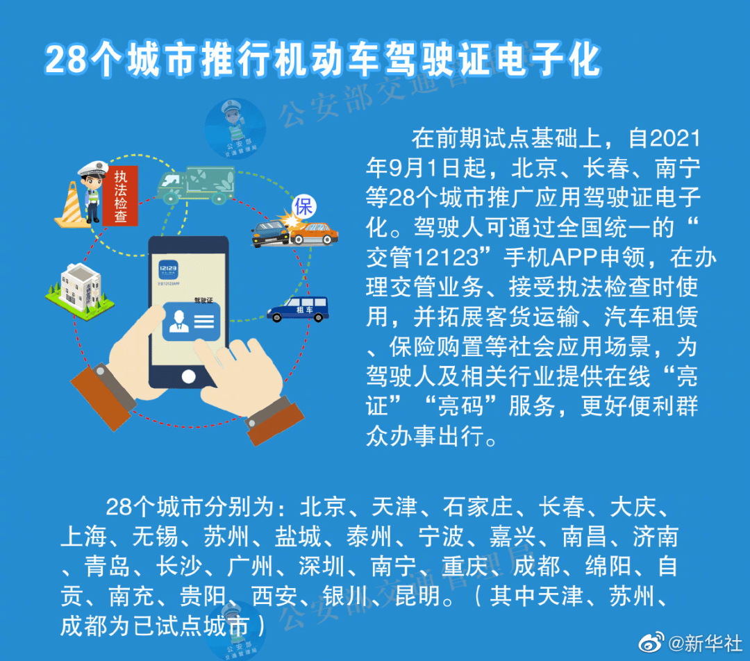 新澳门资料免费长期公开，手段释义与落实展望到2025年