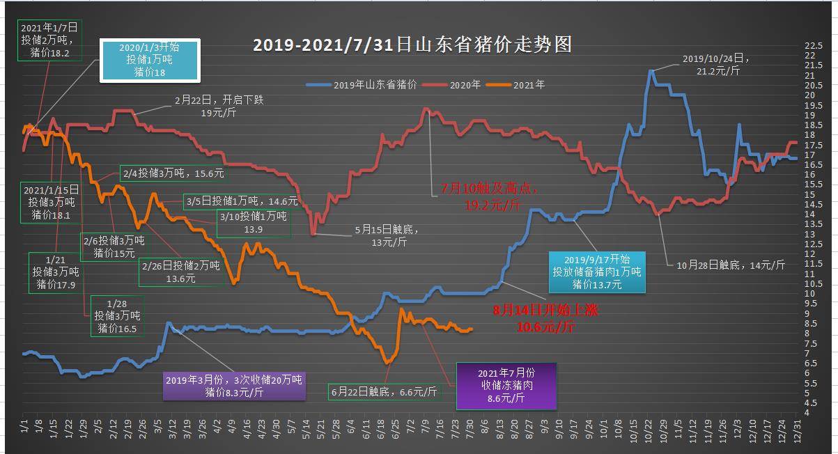 探索未来澳门特马，从预测到落实的全方位解读